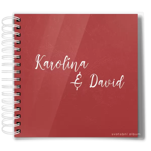Plexi svatební album BARA