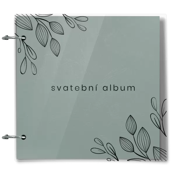 Plexi svatební album CLARA