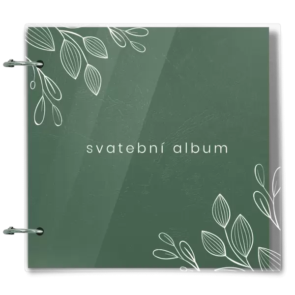 Plexi svatební album CLARA