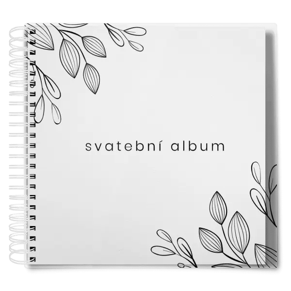 Plexi svatební album CLARA