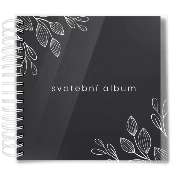 Plexi svatební album CLARA
