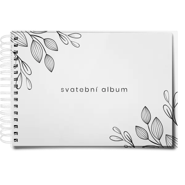 Plexi svatební album CLARA
