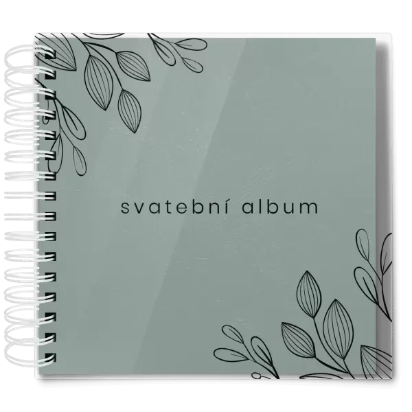 Plexi svatební album CLARA