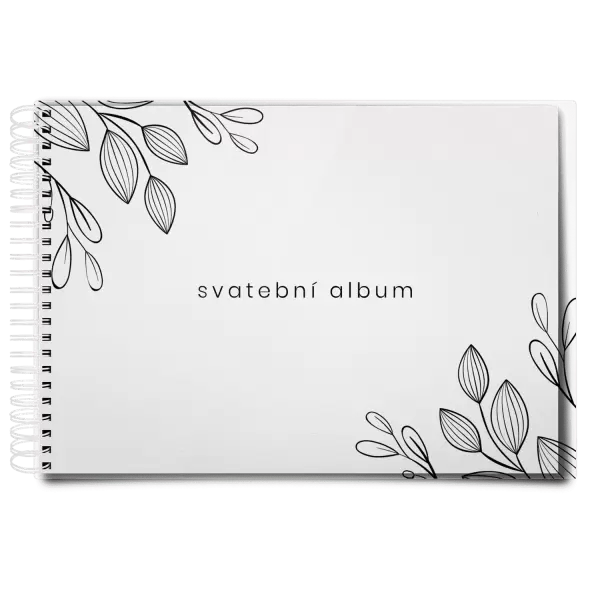 Plexi svatební album CLARA