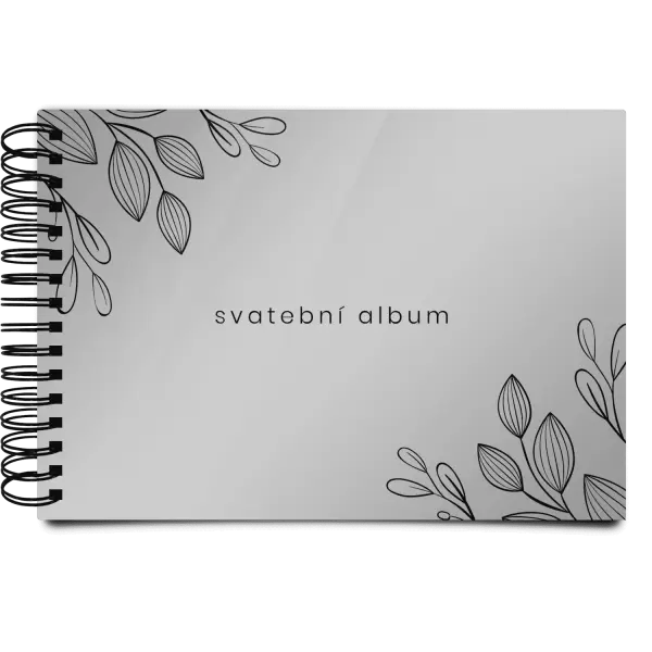 Plexi svatební album CLARA
