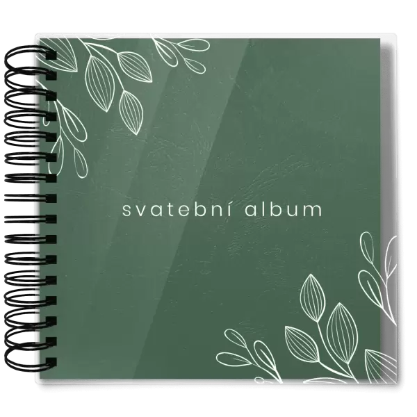 Plexi svatební album CLARA