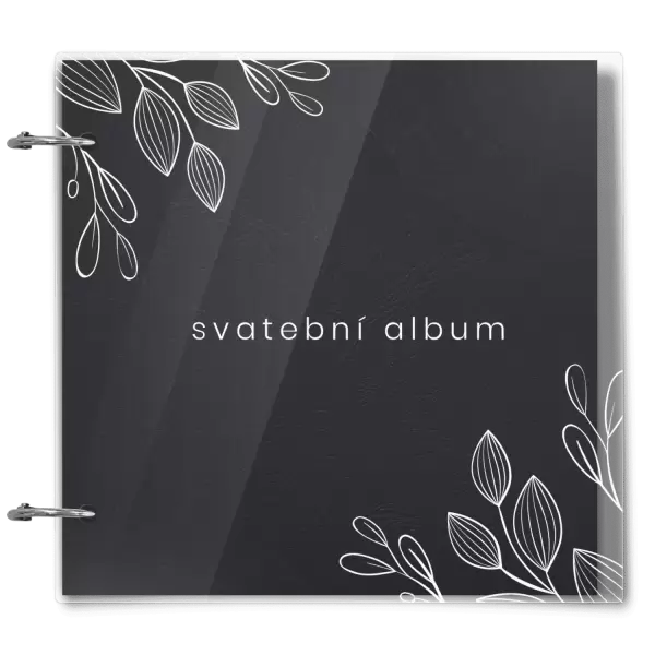 Plexi svatební album CLARA
