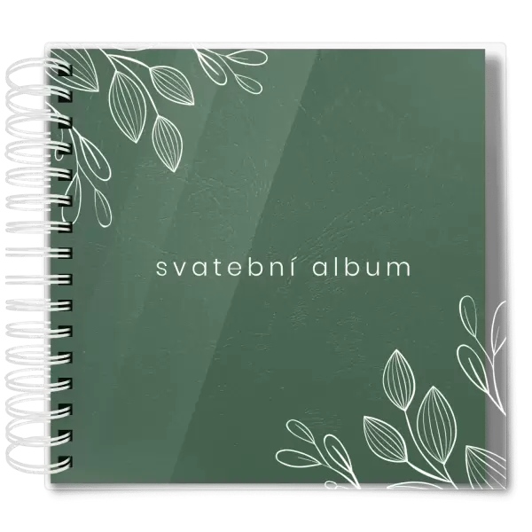 Plexi svatební album CLARA