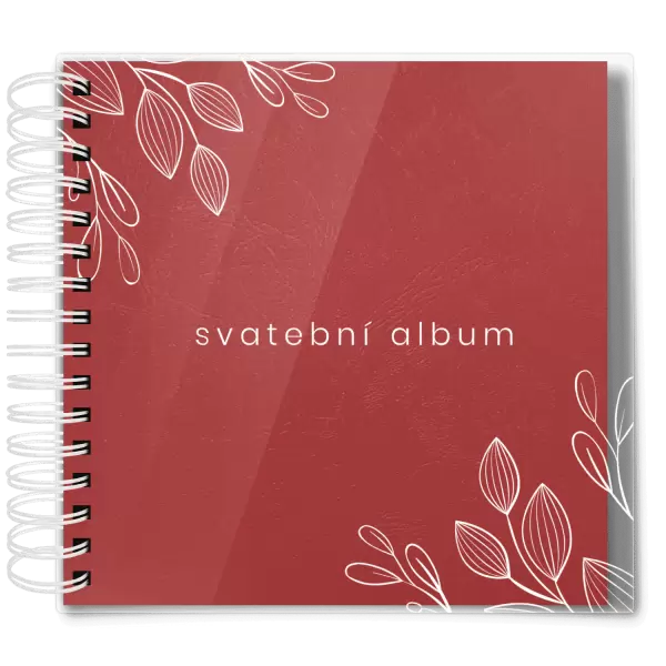 Plexi svatební album CLARA