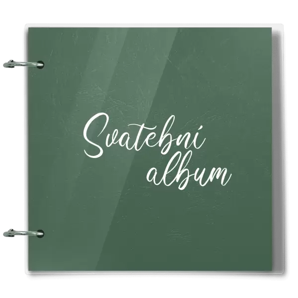 Plexi svatební album DANIELA