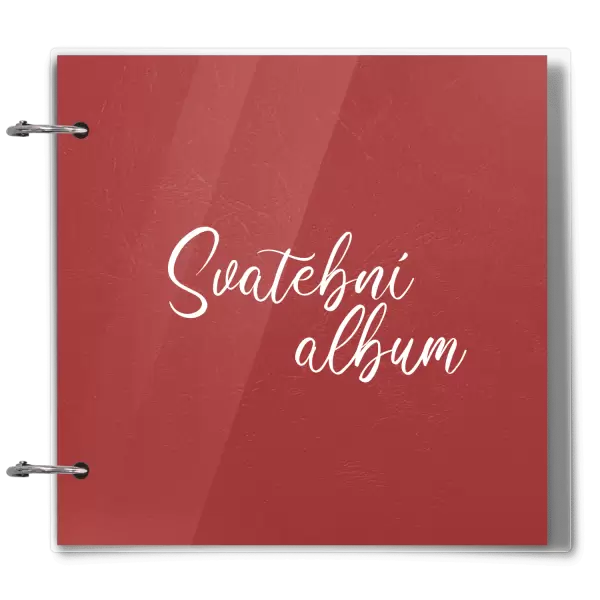 Plexi svatební album DANIELA