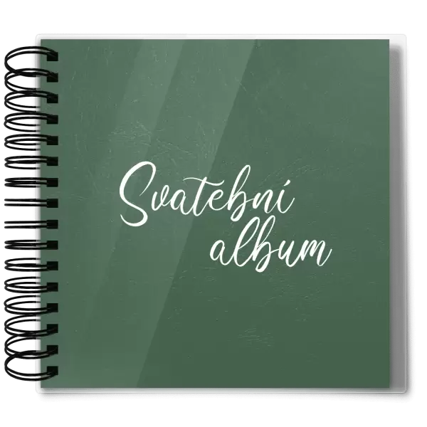 Plexi svatební album DANIELA