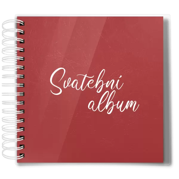 Plexi svatební album DANIELA