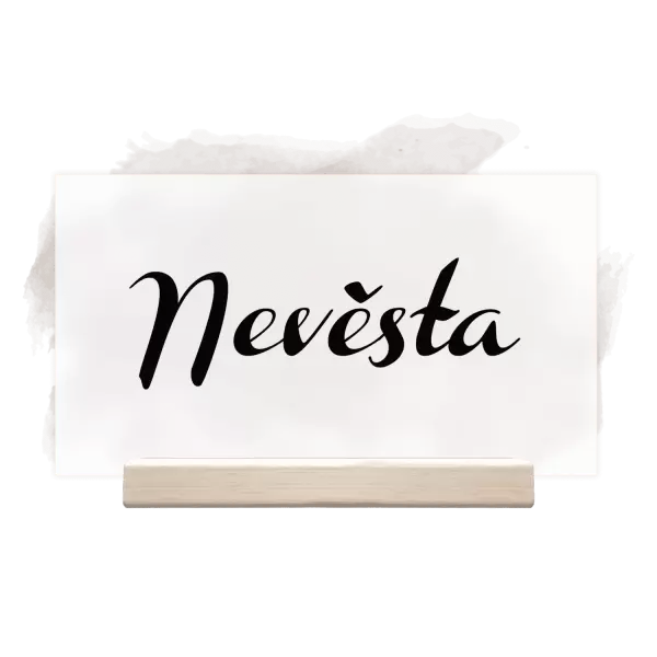 Plexi jmenovka FIONA