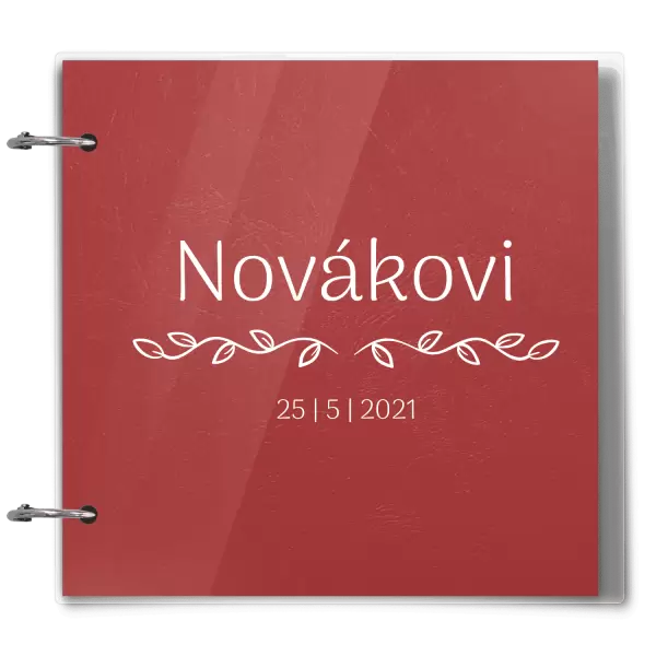 Plexi svatební album RITA