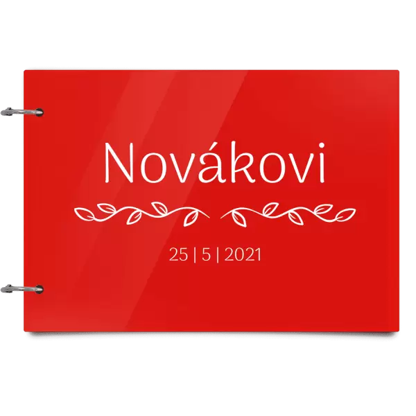 Plexi svatební album RITA