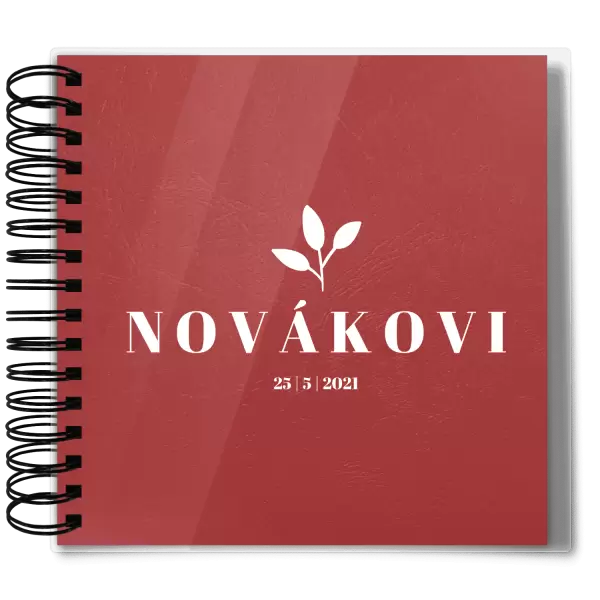 Plexi svatební album SALMA