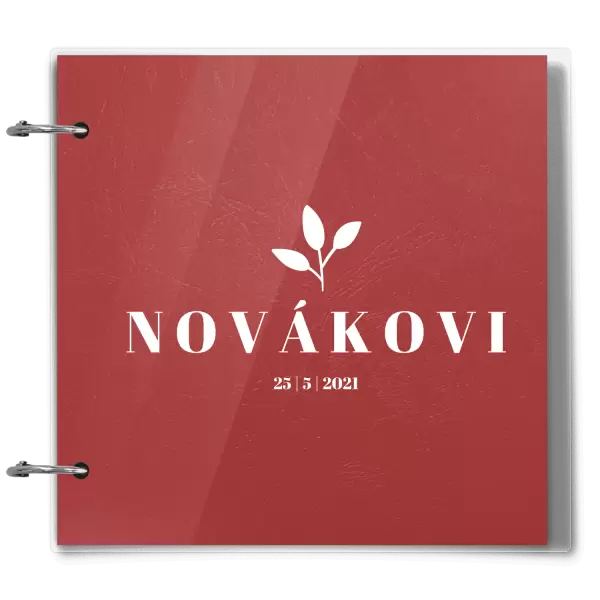 Plexi svatební album SALMA