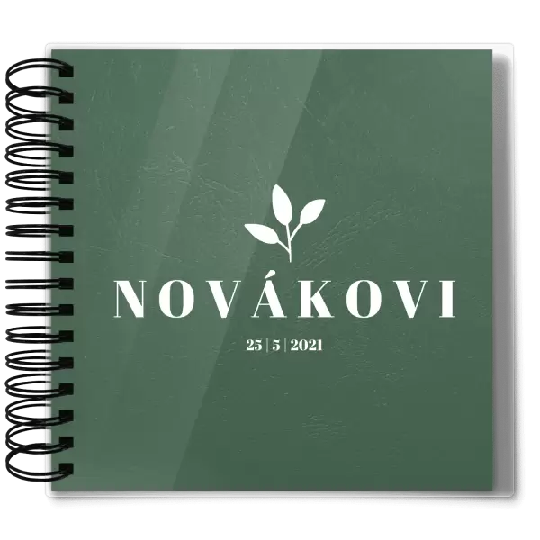 Plexi svatební album SALMA