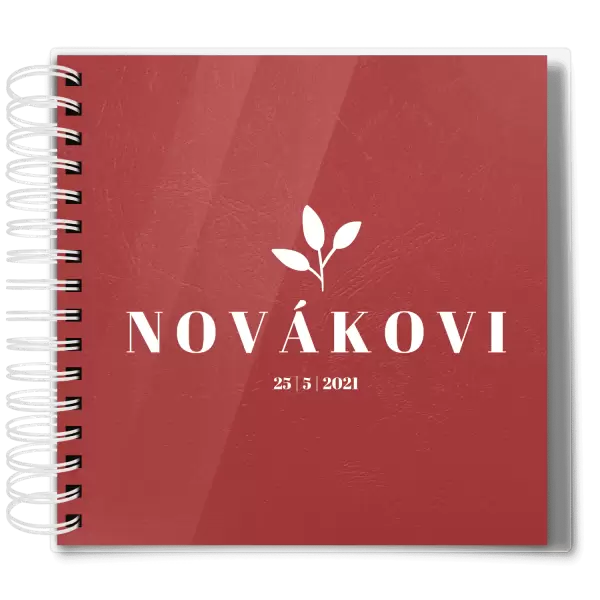 Plexi svatební album SALMA