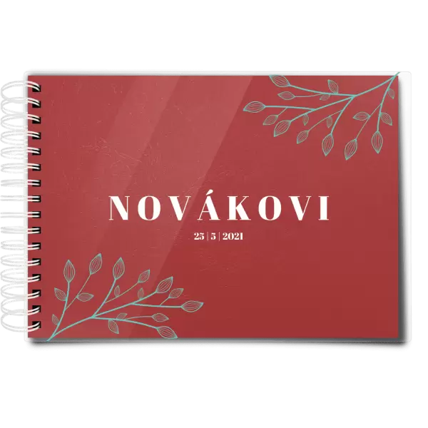 Plexi svatební album TARA