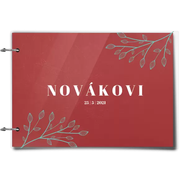 Plexi svatební album TARA