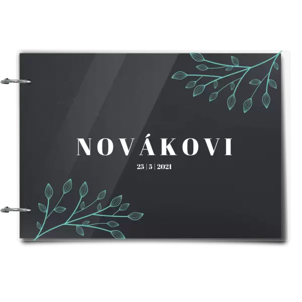 Plexi svatební album TARA