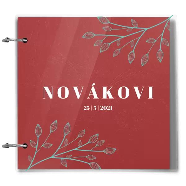 Plexi svatební album TARA