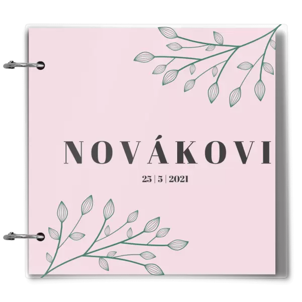 Plexi svatební album TARA