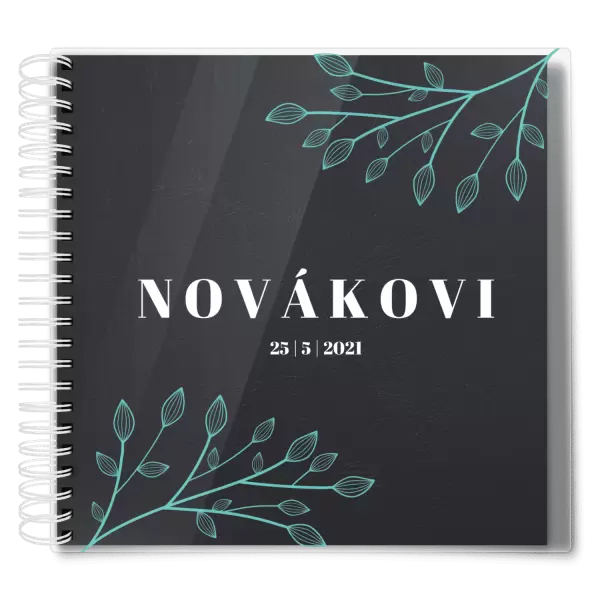 Plexi svatební album TARA