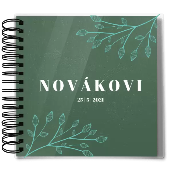 Plexi svatební album TARA