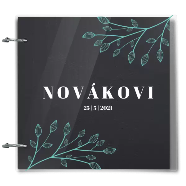 Plexi svatební album TARA