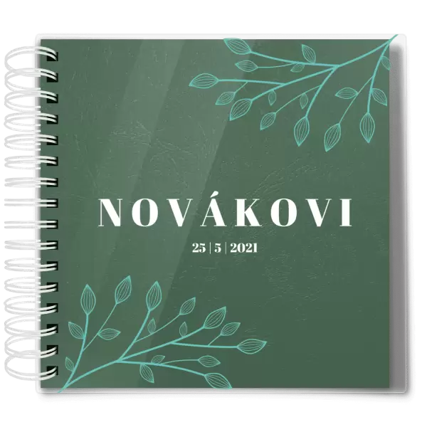 Plexi svatební album TARA