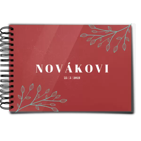 Plexi svatební album TARA