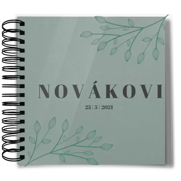 Plexi svatební album TARA