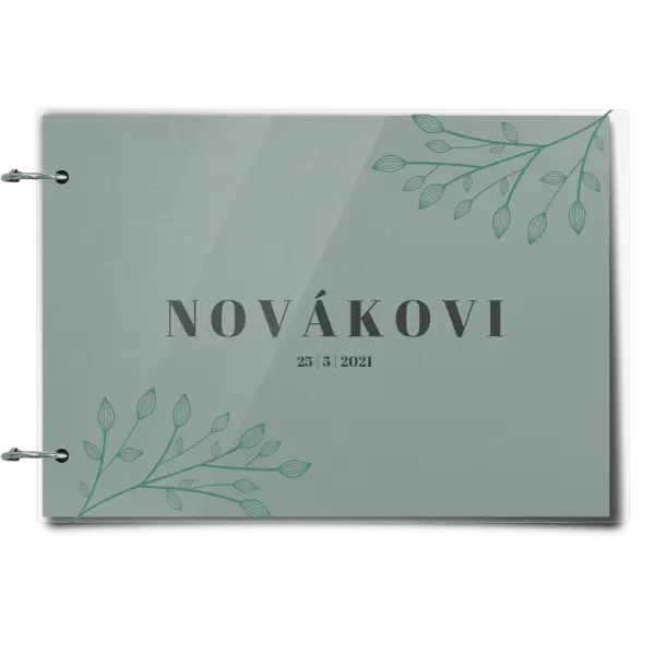 Plexi svatební album TARA