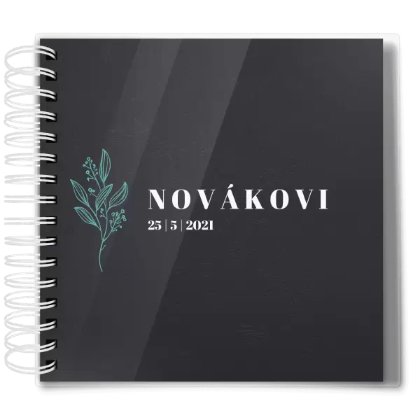 Plexi svatební album ULA