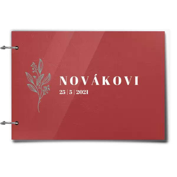 Plexi svatební album ULA