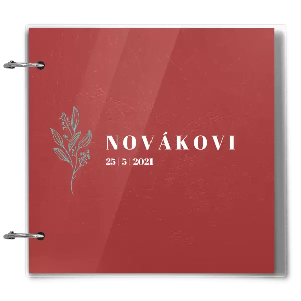 Plexi svatební album ULA