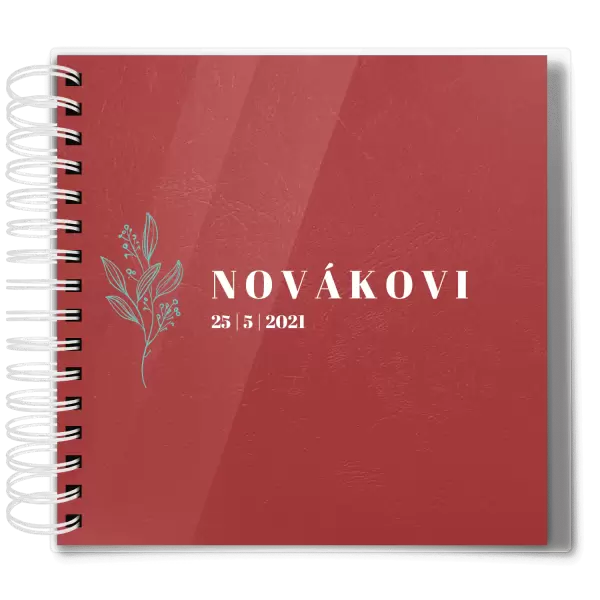 Plexi svatební album ULA