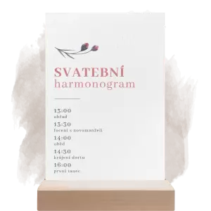 Papírový harmonogram MILADA