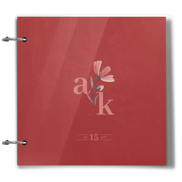 Plexi svatební album MILADA