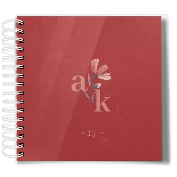 Plexi svatební album MILADA