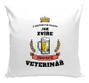 Polštář Z hospody se vracím - Veterinář