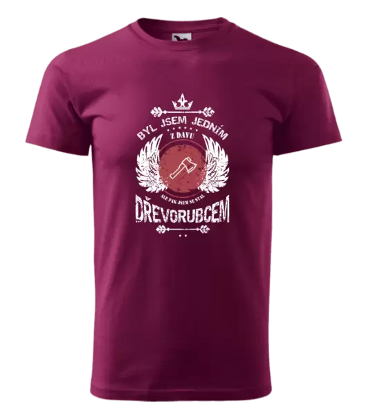 Pánské tričko Byl jsem jedním z davu, ale pak jsem se stal dřevorubcem