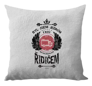 Polštář Byl jsem jedním z davu, ale pak jsem se stal řidičem