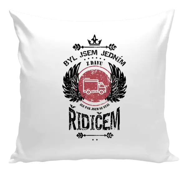 Polštář Byl jsem jedním z davu, ale pak jsem se stal řidičem