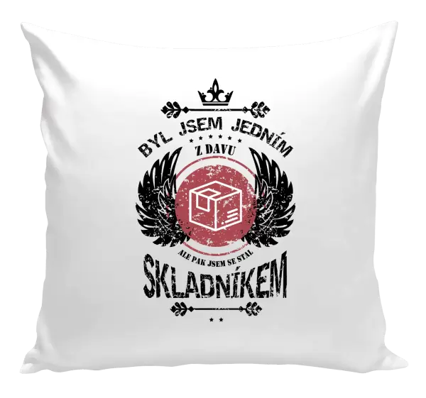 Polštář Byl jsem jedním z davu, ale pak jsem se stal skladníkem
