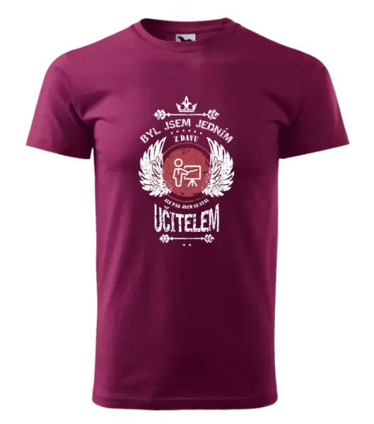 Pánské tričko Byl jsem jedním z davu, ale pak jsem se stal učitelem