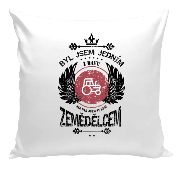 Polštář Byl jsem jedním z davu, ale pak jsem se stal zemědělcem